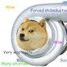 TheBlubaru